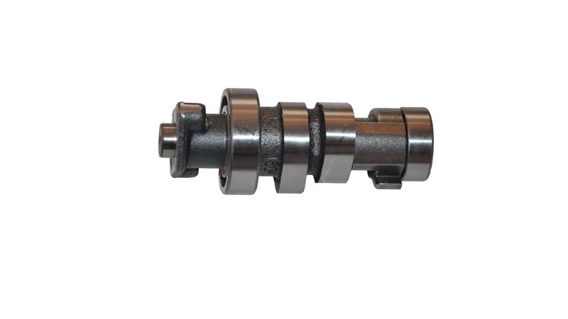 EKSANTRİK MİLİ (PRIVATE)